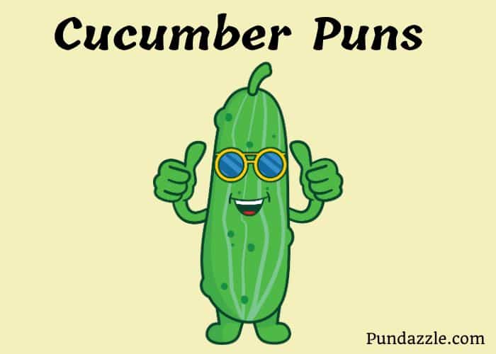 201 Hilarious Cucumber Puns To Make You Laugh And Lighten Your Day