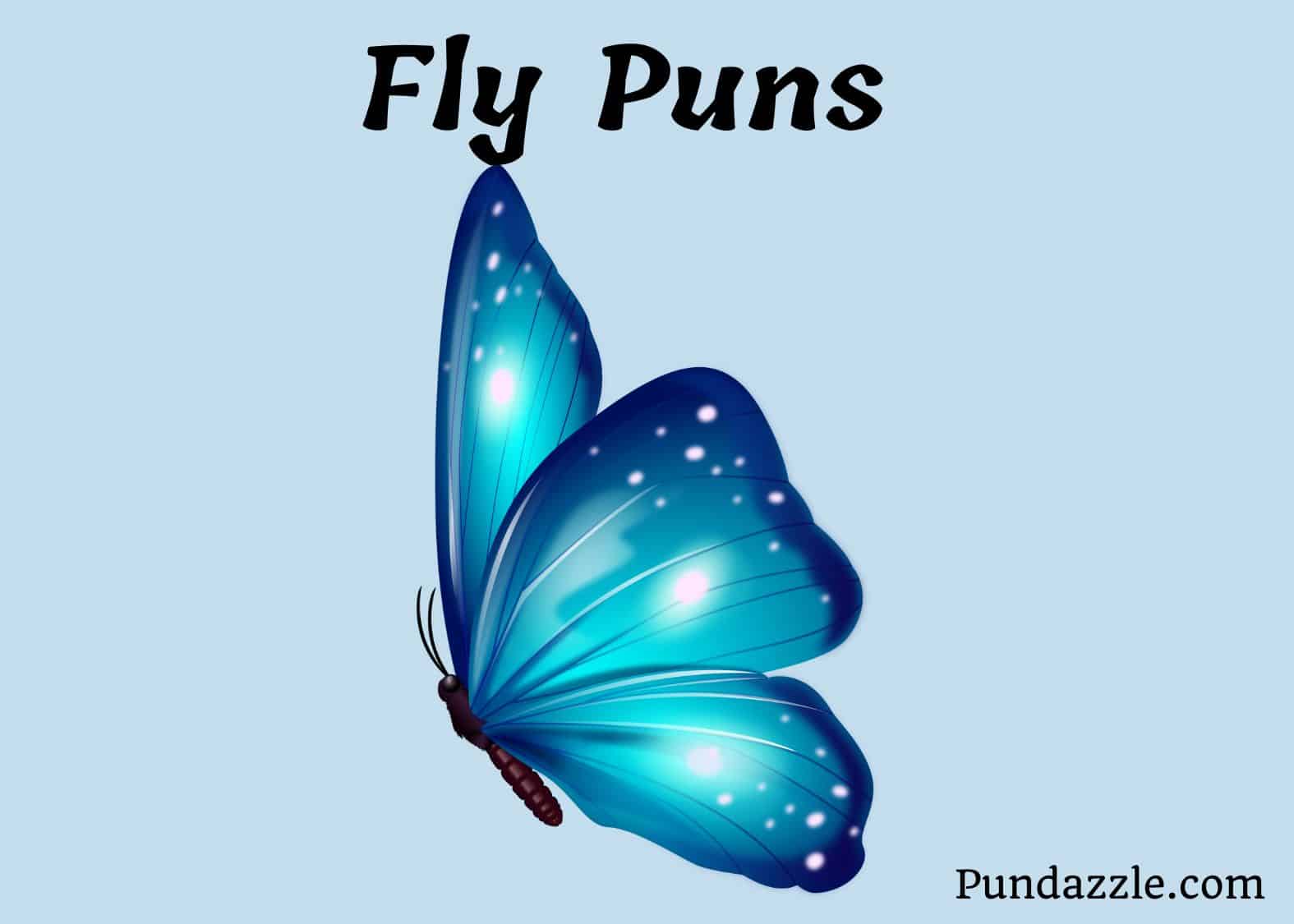 185 Hilarious Fly Puns That Will Make You Buzz with Laughter