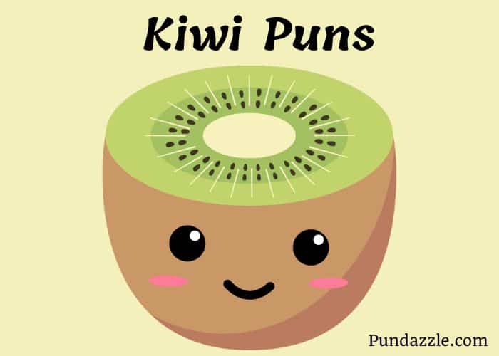 202 Hilarious Kiwi Puns To Brighten Your Day And Social Media