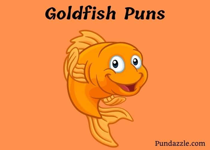 59 Adorable Goldfish Puns And Jokes: Hook Your Valentine