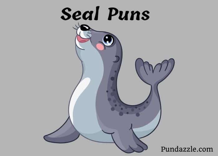 157 Clever Seal Puns And Jokes For A Splash Of Humor And Fun
