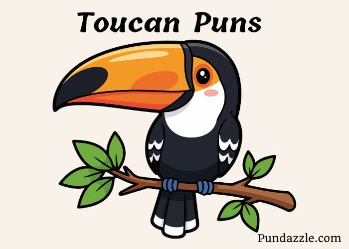 230 Hilarious Toucan Puns That Will Tickle Your Funny Bone